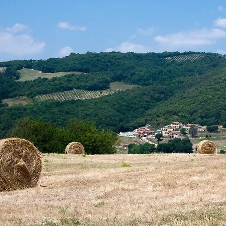 Fonte Alla Lepre Riparbella